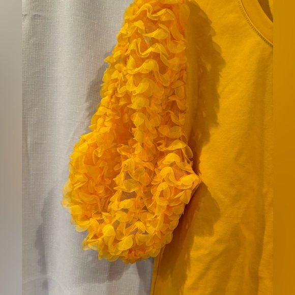 Flat White Anthropologie Marigold Ruffle sleeve top size S NWT - Picture 5 of 12